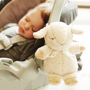 Sleep Sheep on the Go 