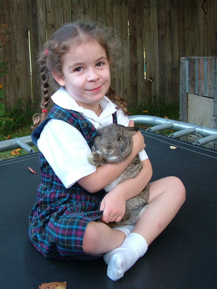 Perils of pet ownership