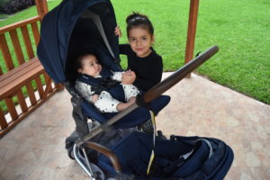 Britax Flexx Stroller Pram Dual Tandem