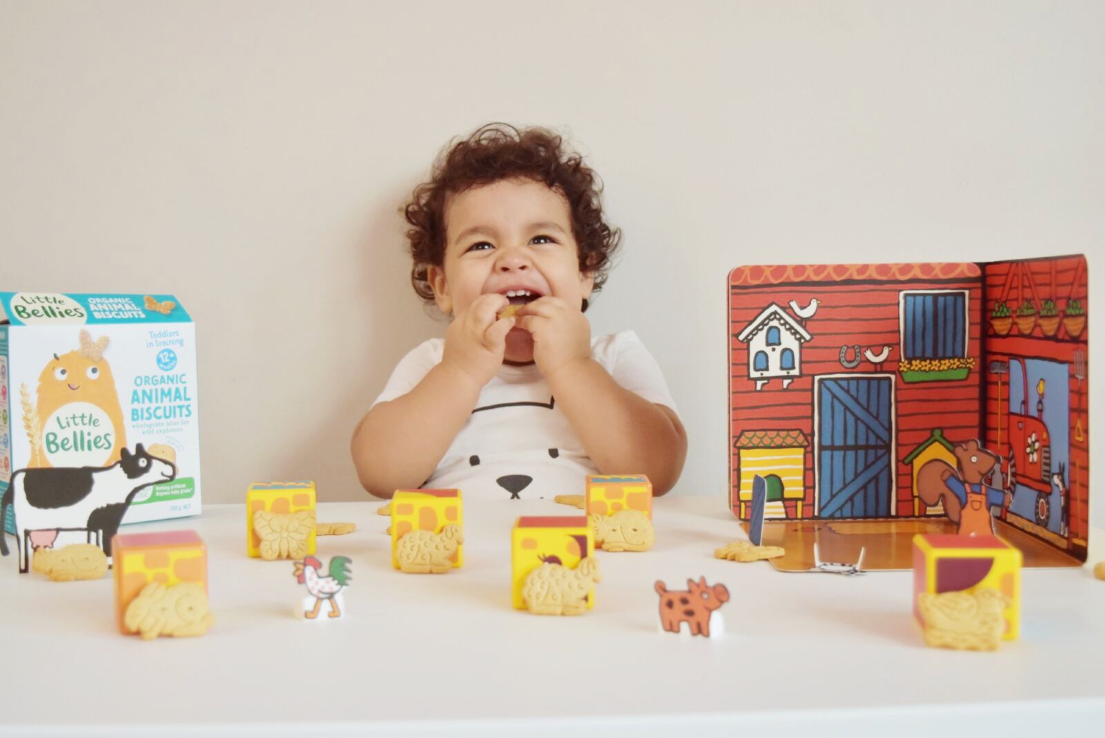 Tips on feeding your toddler + Little Bellies giveaway