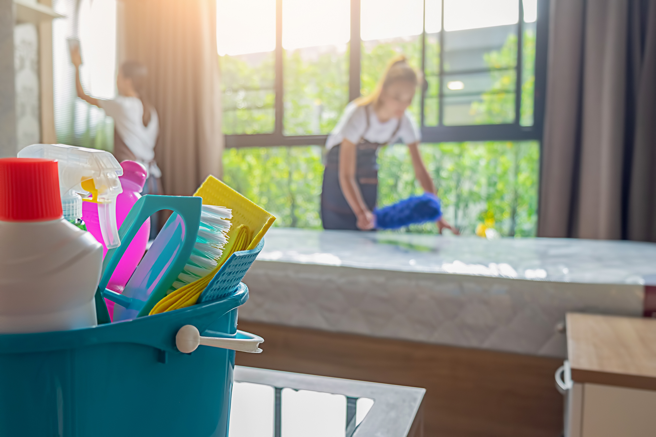Review of Fantastic Services Cleaning plus $20 discount offer
