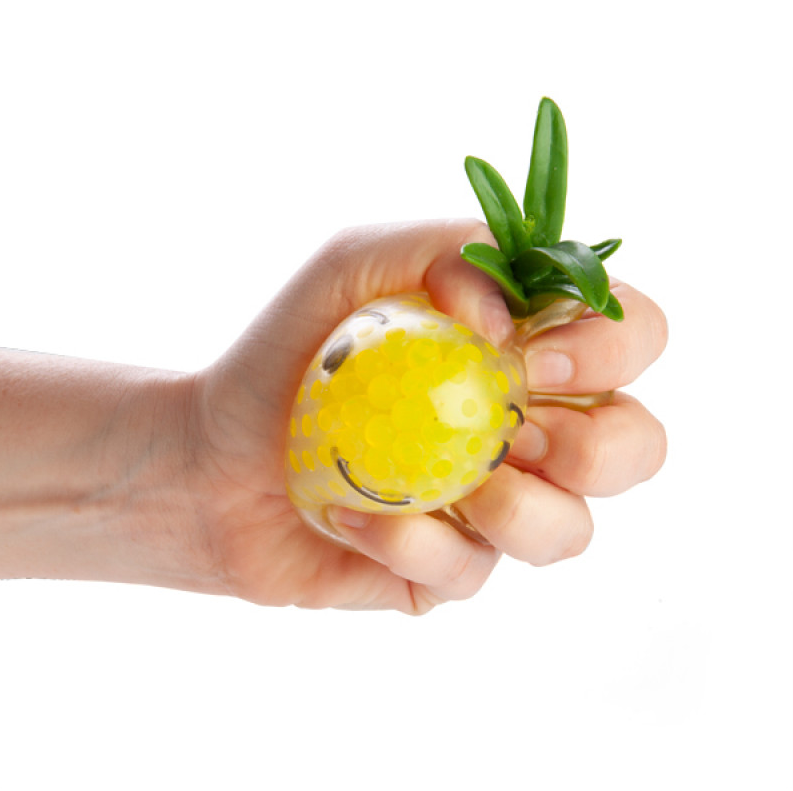 Squishy Bubble Pineapple